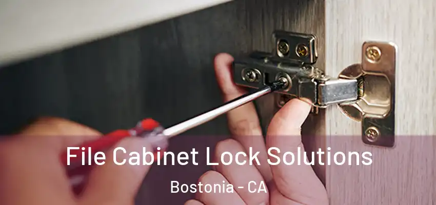  File Cabinet Lock Solutions Bostonia - CA